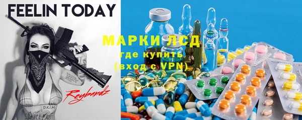 шишки Гусиноозёрск